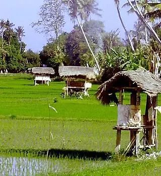 Guest house Ellies Hotel Nusa Dua
